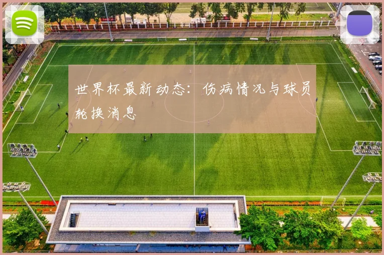 世界杯最新动态：伤病情况与球员轮换消息